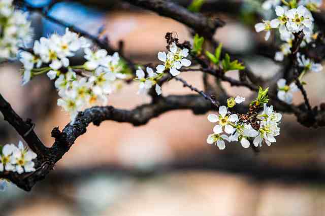 关于岁月静好唯美的句子(精选52句)