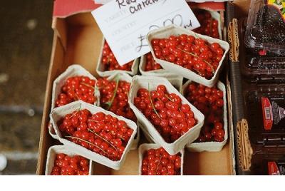 关于爱家的句子42句