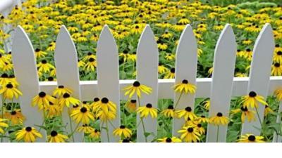 描写夏天天气炎热的词语句子