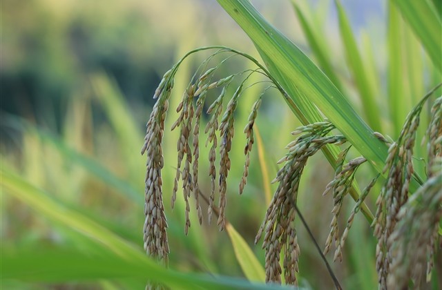 七个字的男生霸气网名(123个)