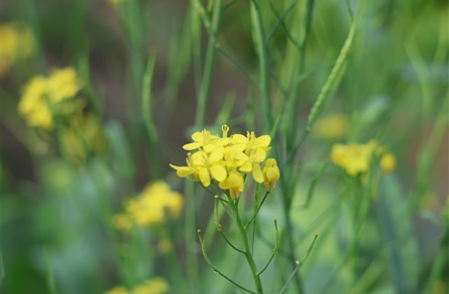 七个字的男生霸气网名(123个)