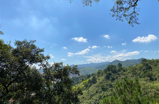 伤感微信女生网名(优选159个)