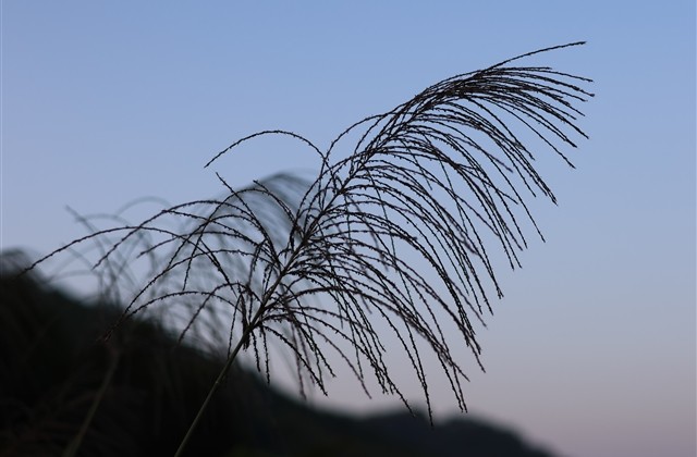 伤感微信女生网名(优选159个)