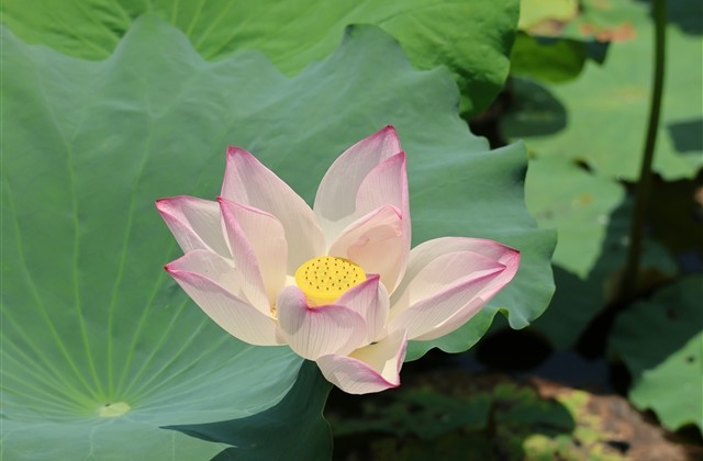 杀马特情侣网名大全(精选76个)