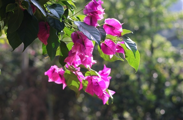 最新男生伤感繁体字微信网名(精选150个) 最新男生伤感繁体字微信网名(精选150个)