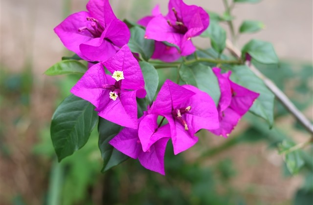 伤感女生QQ个性网名(精选146个)