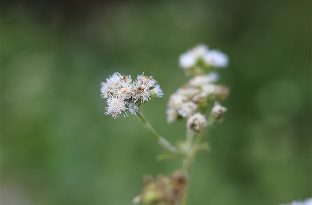 qq重口味网名大全(136个)