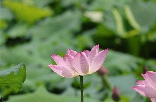 2023招财转运微信昵称女(精选148个) 2023招财转运微信昵称女(精选148个)