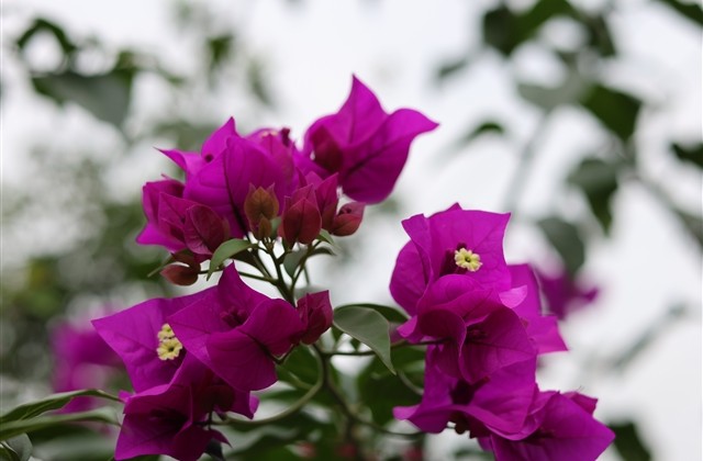 热门微博网名男生简单气质(优选145个)