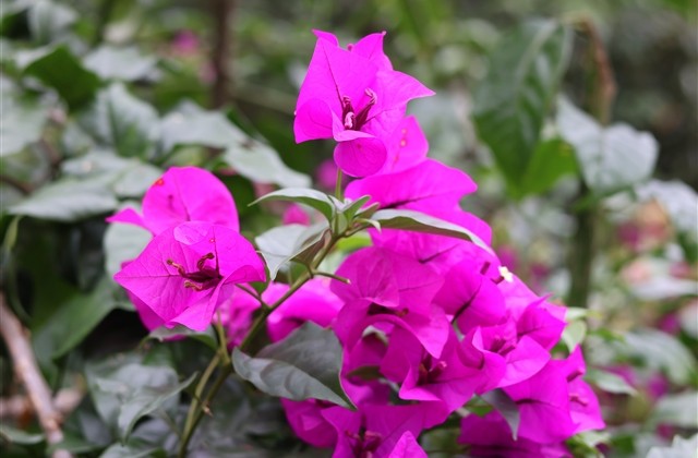 带剑字的游戏网名(精选147个)