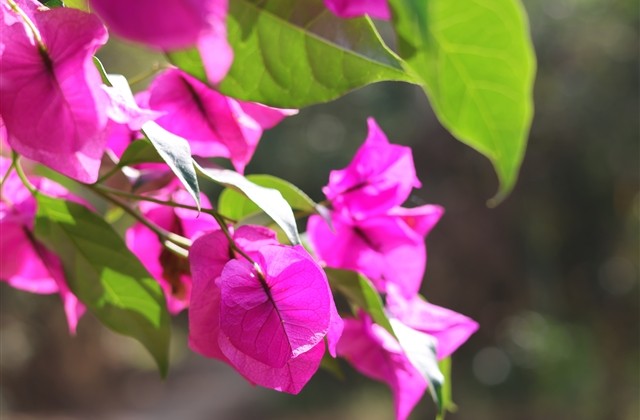 带剑字的游戏网名(精选147个)