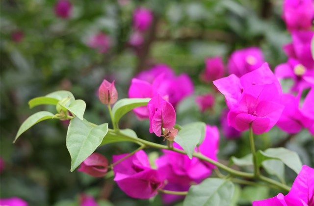 好听伤感的网名(精选126个)