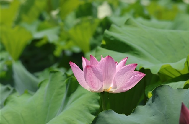 好听伤感的网名(精选126个)