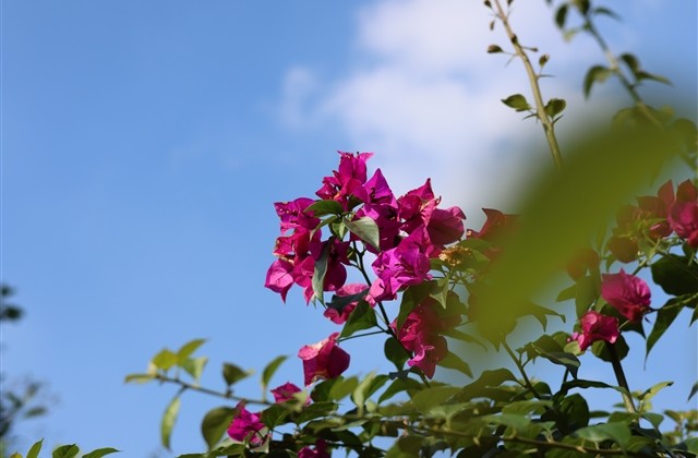 光明大陆好听的名字(精选133个) 光明大陆好听的名字(精选133个)