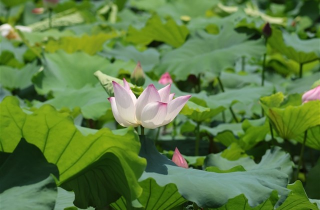 可爱搞怪的情侣网名(精选77个)