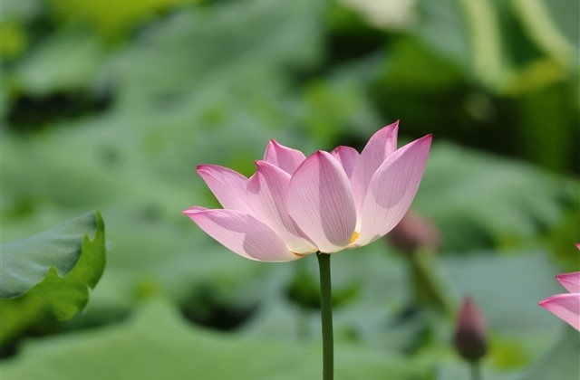 又酷又飒的闺蜜网名(精选80个)