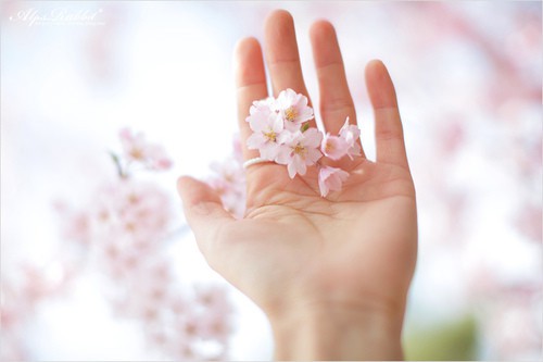 高中毕业生给老师的赠言 高三毕业给老师的赠言(精选49句)