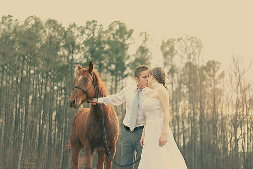 早安暖心简短一句话 早安暖心话短句(50句)