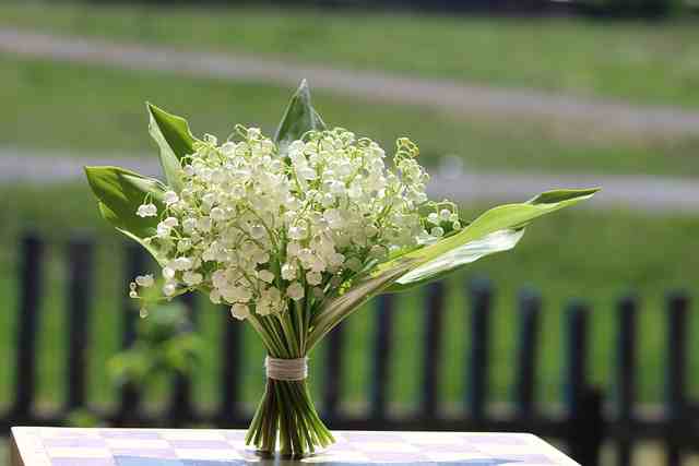 教师节短信祝福语