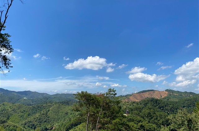 70后女人高贵典雅网名(精选66个)