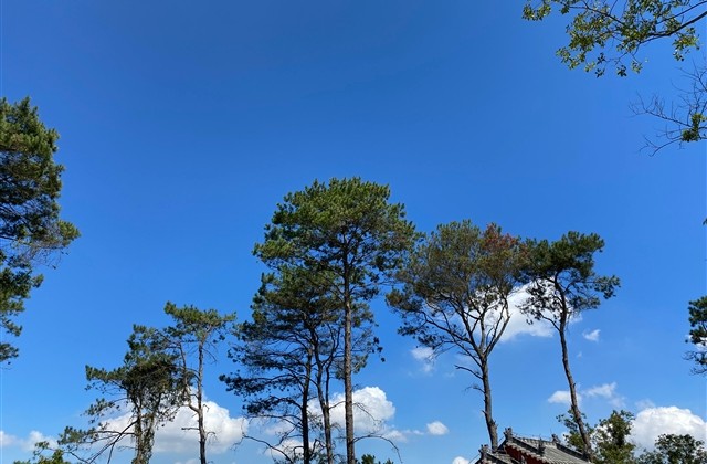 伤感几乎心碎的网名