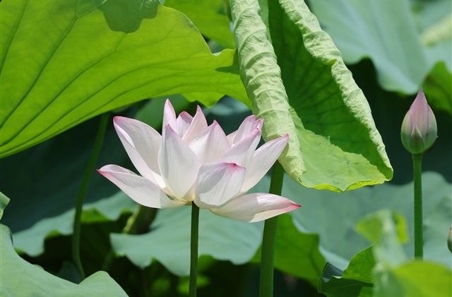 好听不服输的网名大全 有股冲劲的昵称