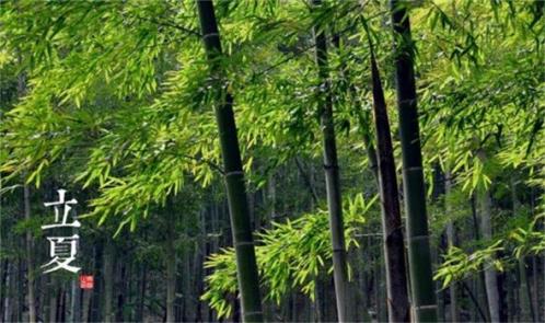 好心态晚安正能量句子