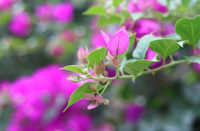 自信洒脱一点的四字网名 自信洒脱一点的四字网名