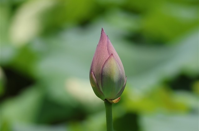 表达思念的网名,关于想念一个人的网名 表达思念的网名,关于想念一个人的网名