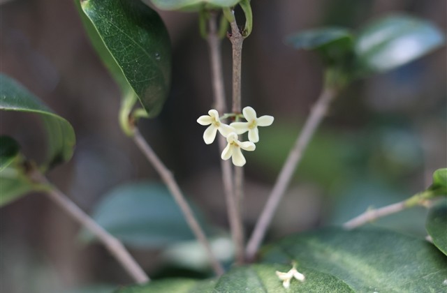 表达思念的网名,关于想念一个人的网名 表达思念的网名,关于想念一个人的网名