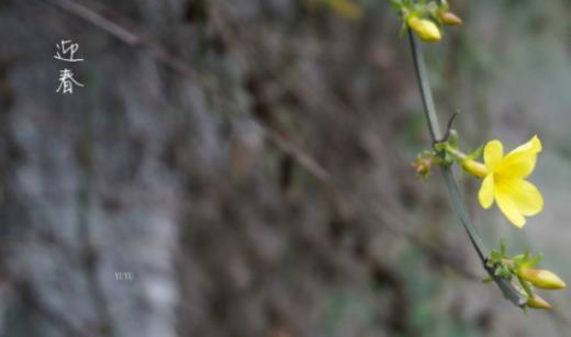 爱情心碎到撕心裂肺的句子