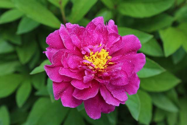 致自己的人生感悟,经典至极,引人共鸣!