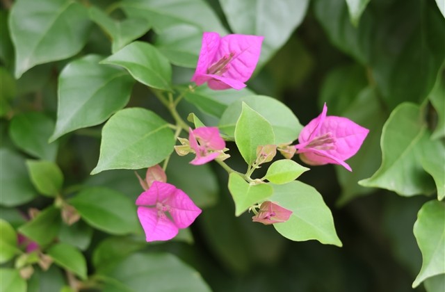 热血兄弟qq网名(共58个) 热血兄弟qq网名(共58个)