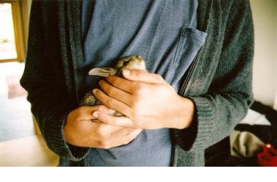 表达失望心寒的句子