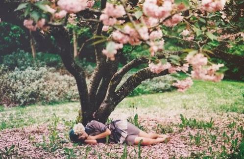 发朋友圈的精美句子