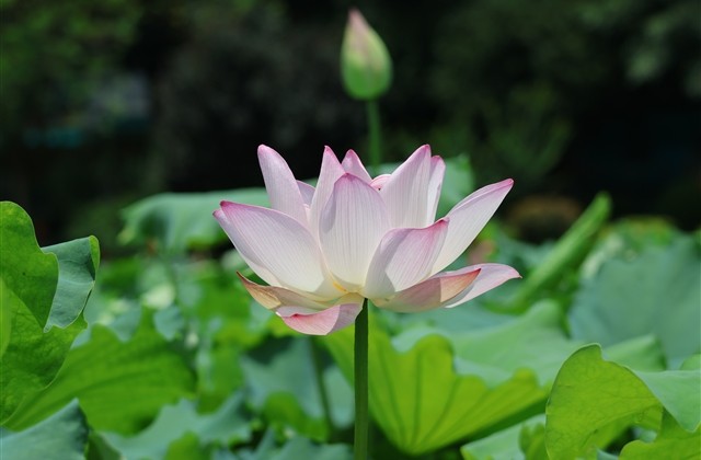 2023最新好运带财二个字网名(优选70个)