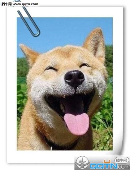 保险最感人的一句话