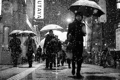 qq个性签名可爱呆萌