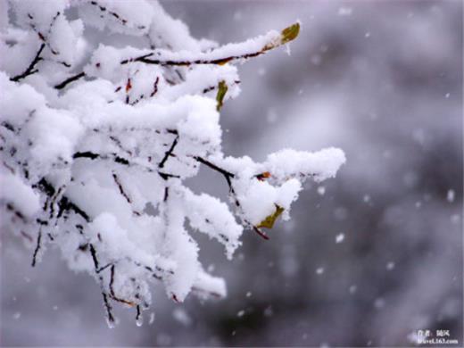 伤感短句子十字以内