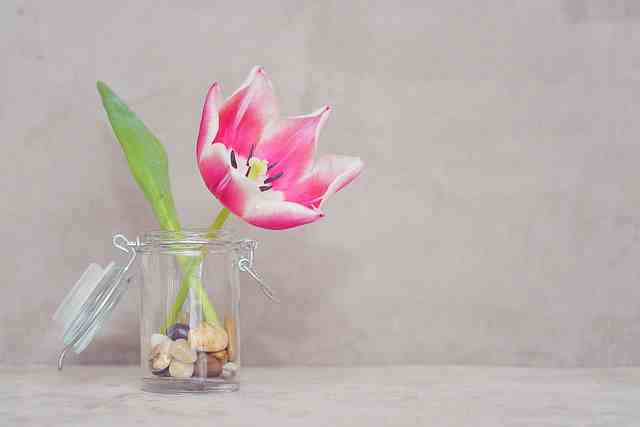 人生感悟精辟短语  简短人生感悟的句子