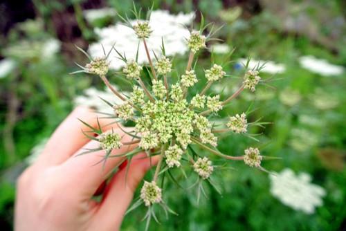 怎么查看qq个性签名