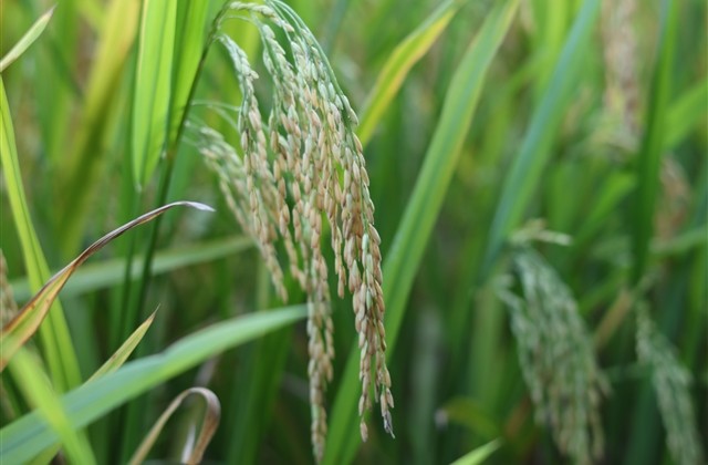 2个字的霸气搞笑网名(42个)