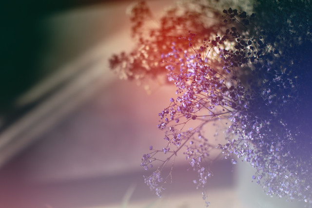 猪年新春标语 春节显示屏标语大全集