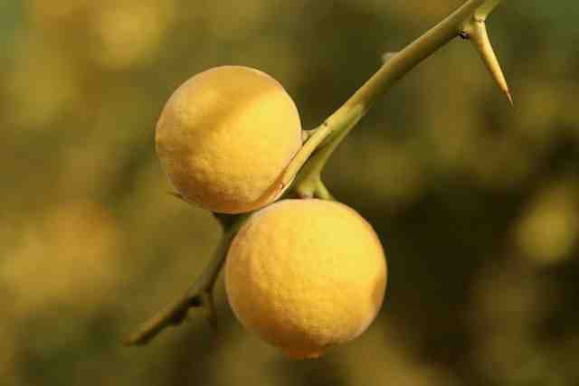 现实生活感悟精辟句子,精辟至极,内容引起极度舒适!