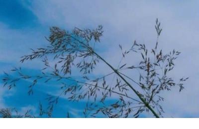 微博一句话经典语录