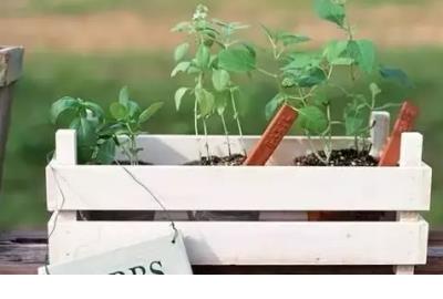 友谊的句子唯美超短句