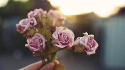 正能量的句子说说心情