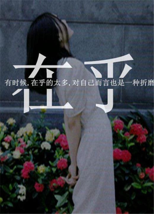 2023网络流行语句