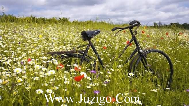 关于教师节的创意文案 关于教师节的文案(精选75句)