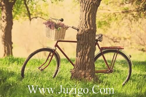 教师节走心创意文案教师节感谢创意文案(精选86句)